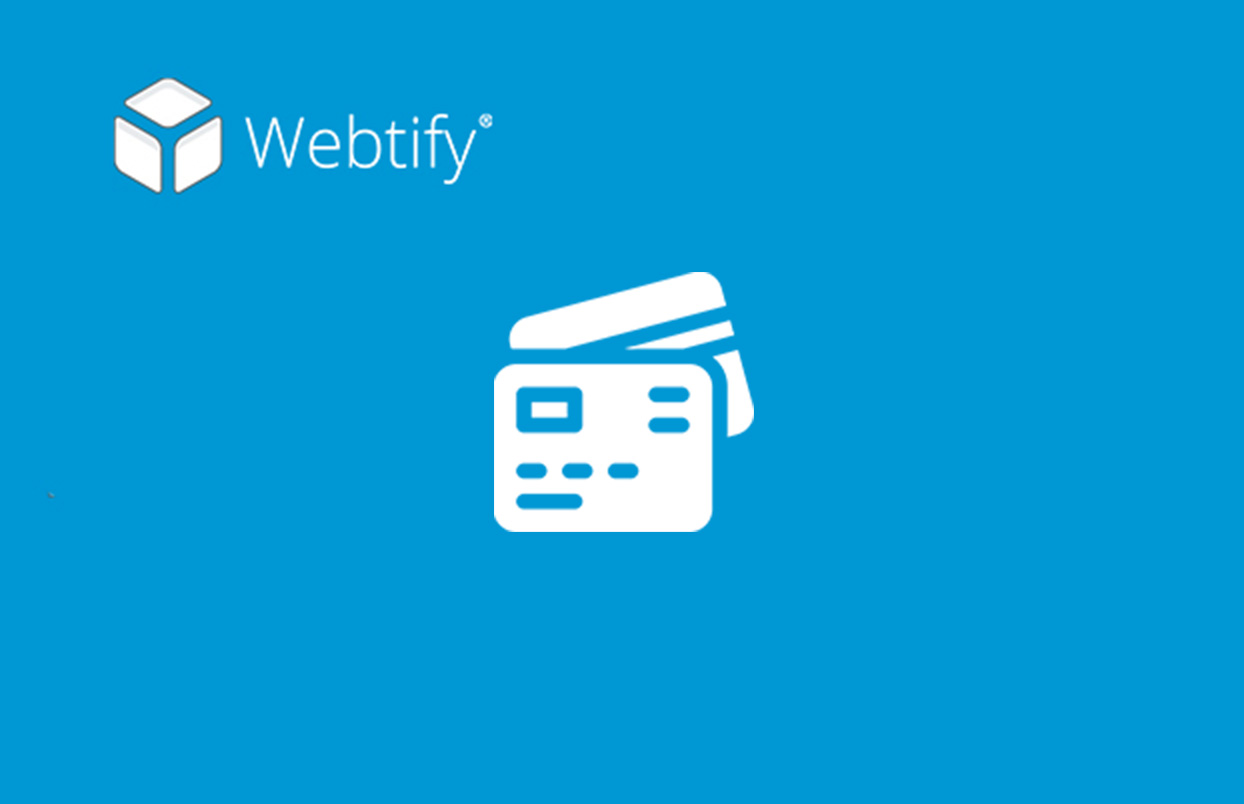 Webtiyf blog over betaalmethodes voor webshops in 2024